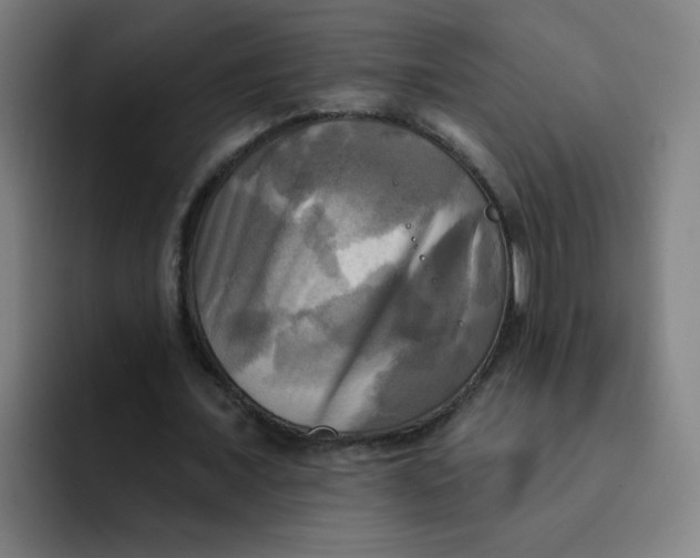 X0000091910675200709261716