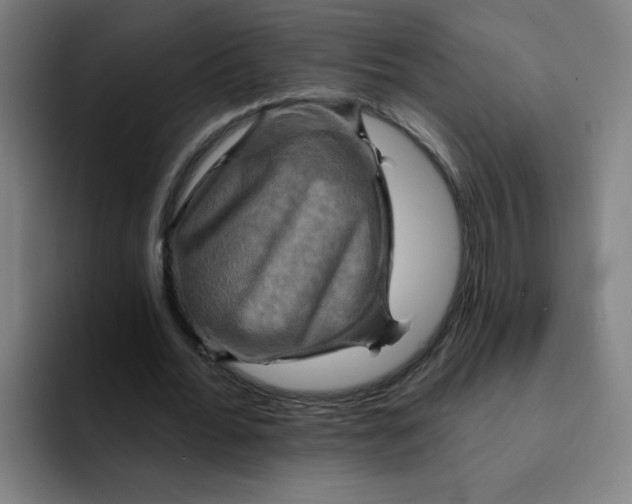 X0000091910676200709261716