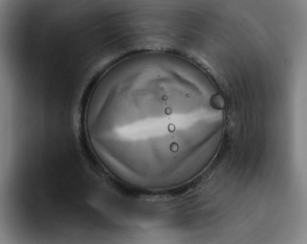 X0000091910679200709261716