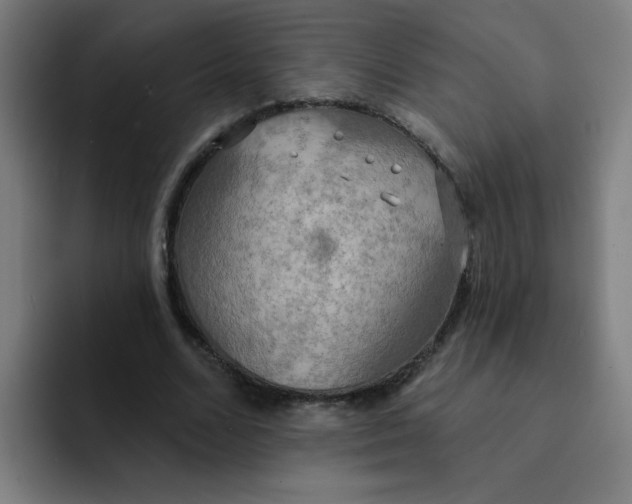 X0000091910680200709261716