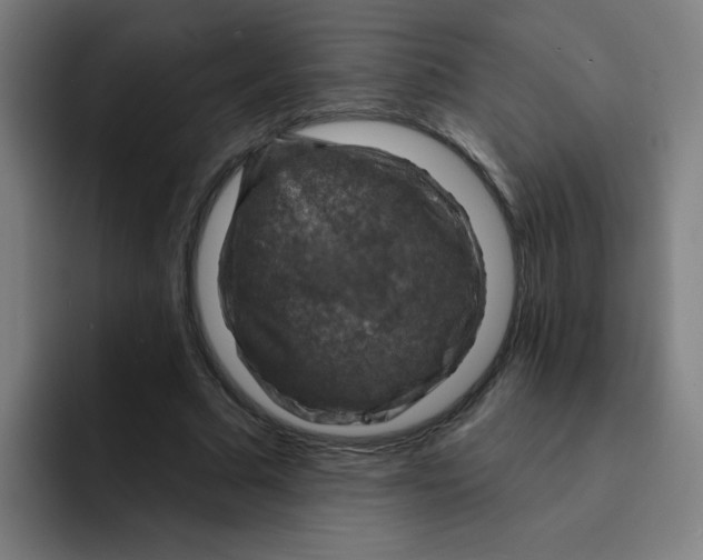 X0000091910681200709261716