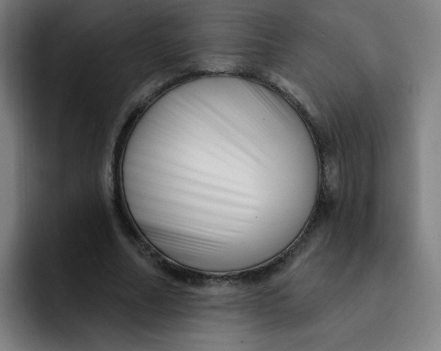 X0000091910682200709261716