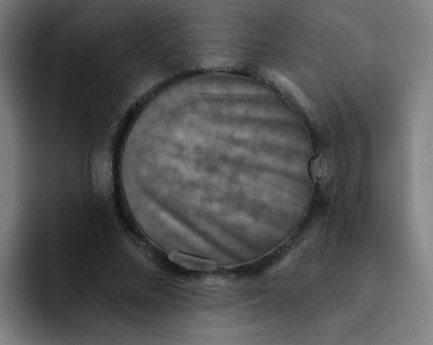 X0000091910684200709261716