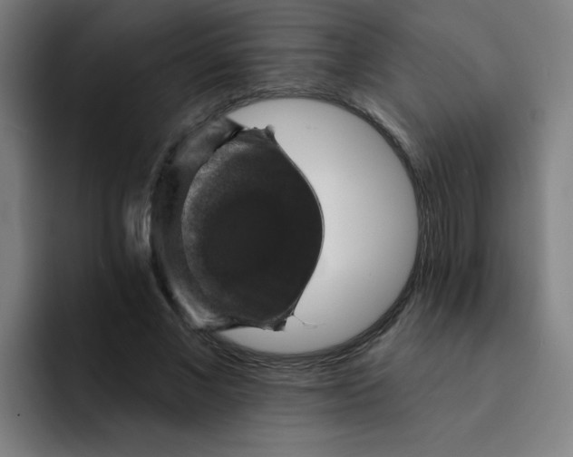 X0000091910685200709261716