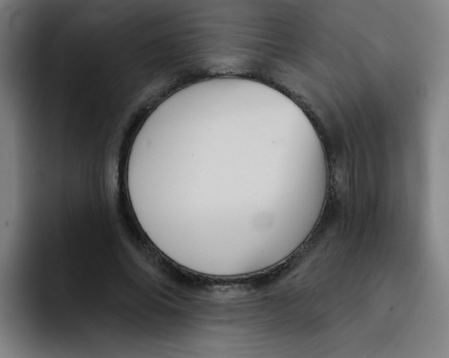 X0000091910686200709261716