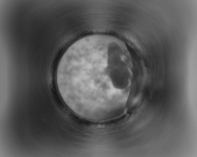 X0000091910687200709261716