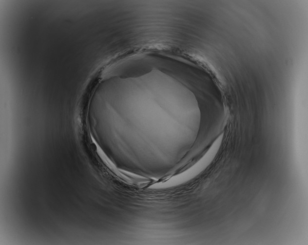 X0000091910688200709261716