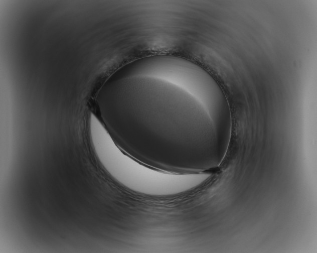 X0000091910689200709261716