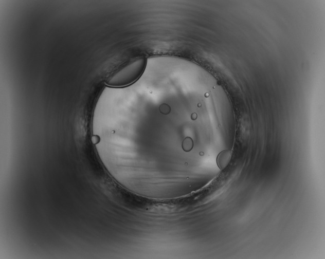 X0000091910691200709261716