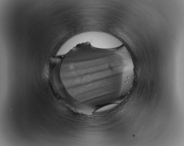 X0000091910693200709261716