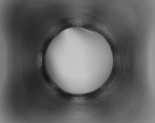 X0000091910694200709261716