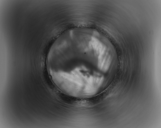 X0000091910695200709261716