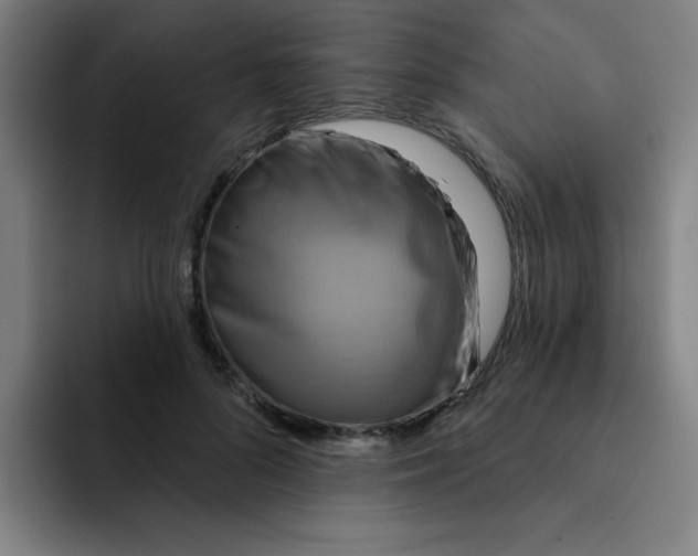 X0000091910696200709261716