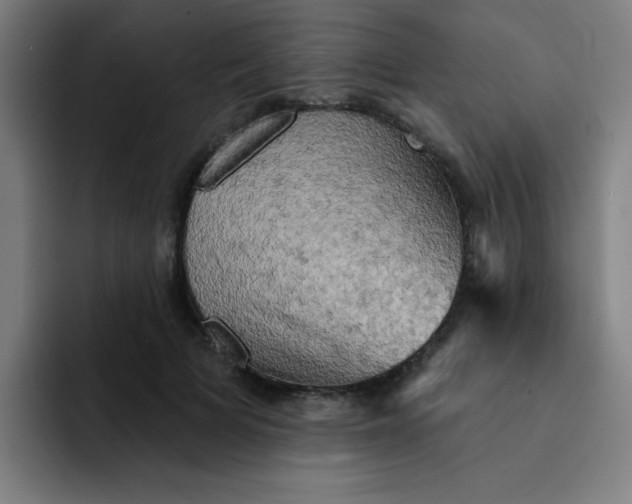 X0000091910697200709261716