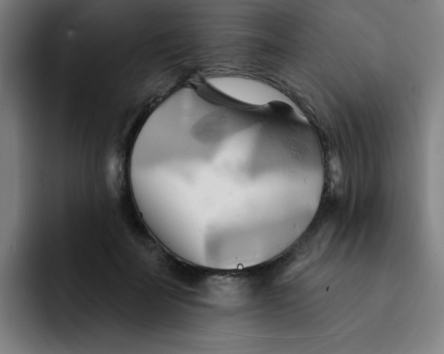 X0000091910699200709261716