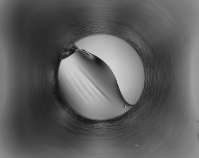 X0000091910700200709261716