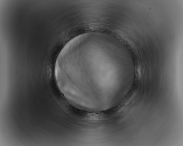 X0000091910703200709261716