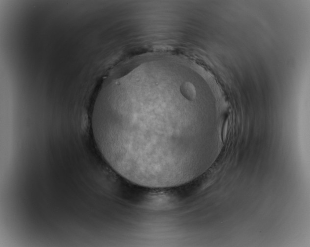 X0000091910704200709261716