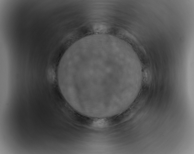 X0000091910705200709261716