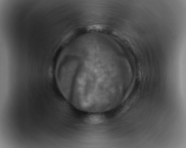 X0000091910708200709261716