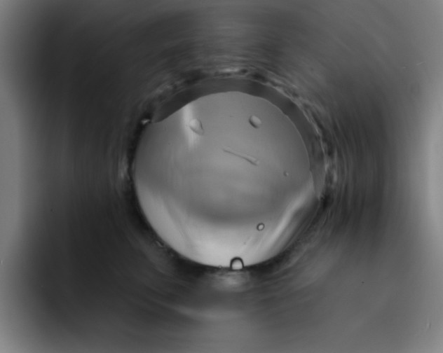 X0000091910711200709261716