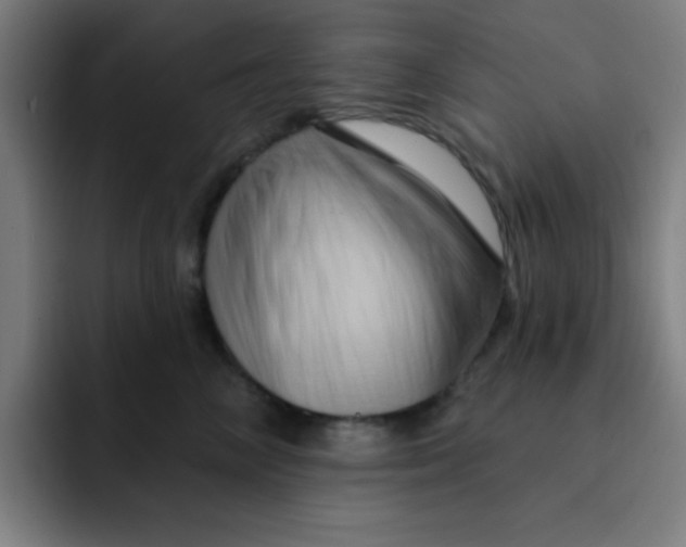 X0000091910714200709261716