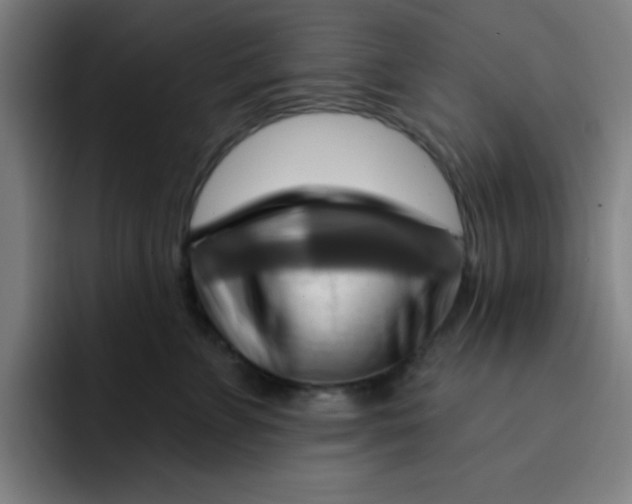 X0000091910715200709261716