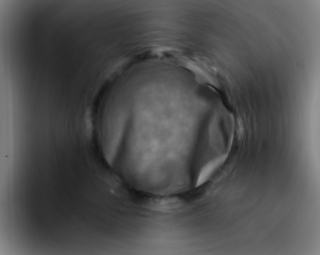 X0000091910716200709261716