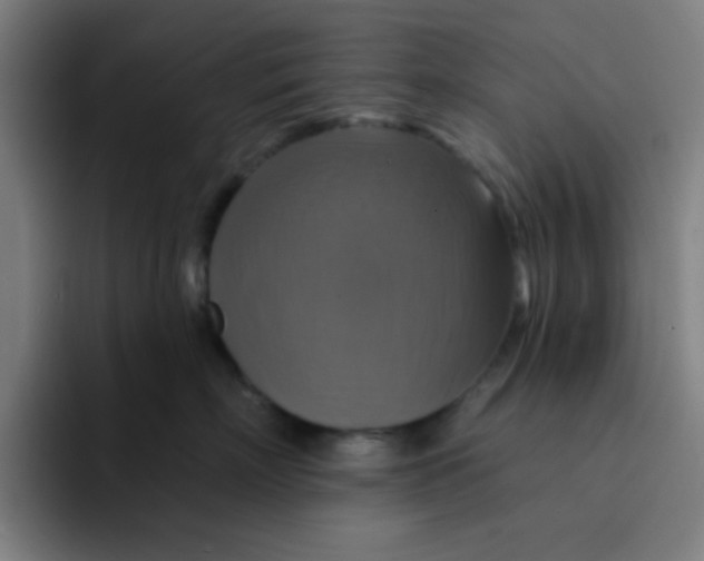 X0000091910718200709261715