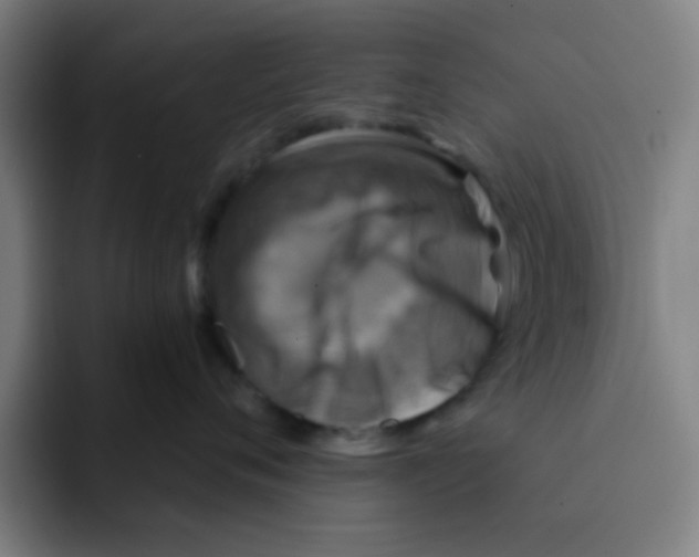 X0000091910720200709261715