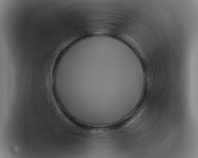 X0000091910721200709261715