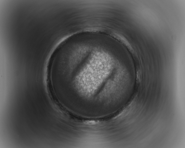 X0000091910724200709261715