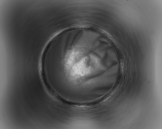 X0000091910726200709261715