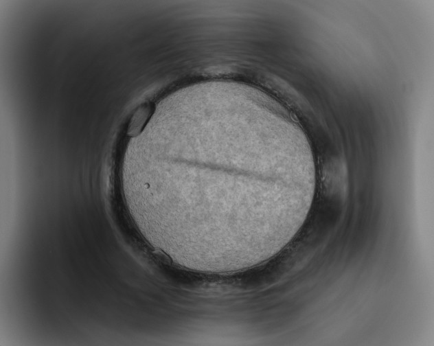 X0000091910732200709261715