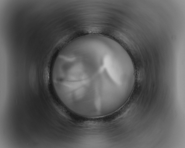 X0000091910733200709261715