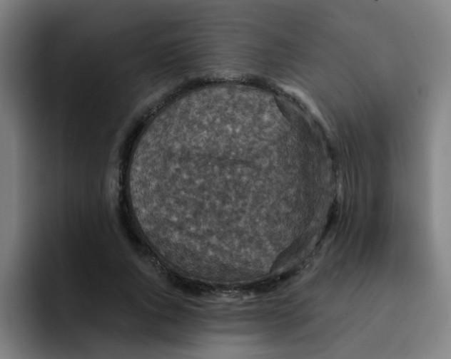 X0000091910736200709261715