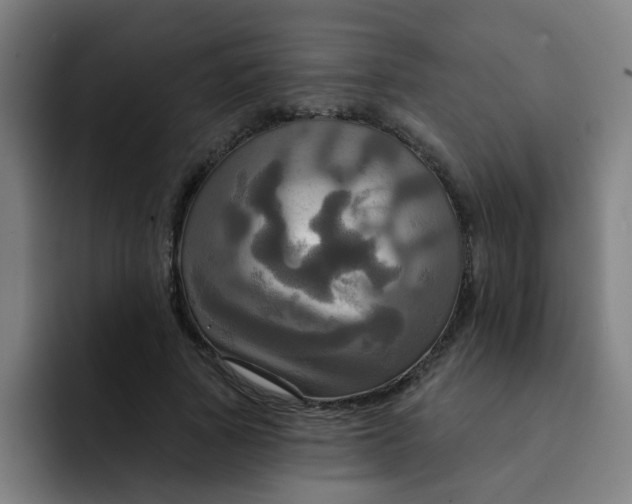 X0000091910737200709261715