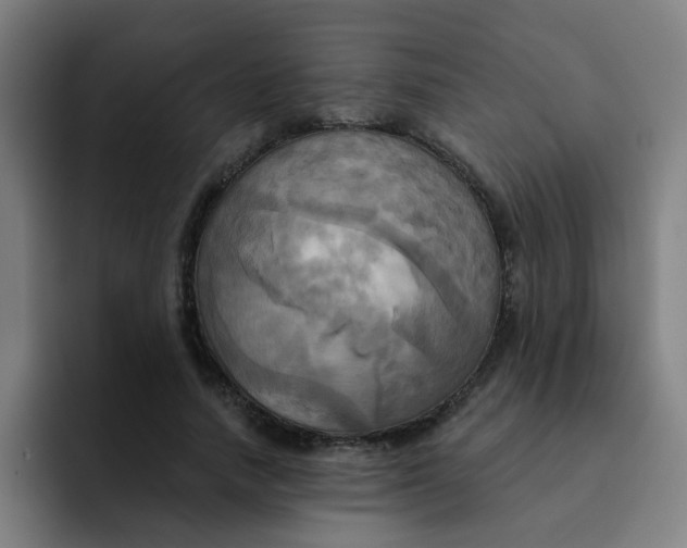 X0000091910738200709261715