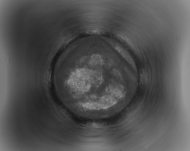 X0000091910739200709261715