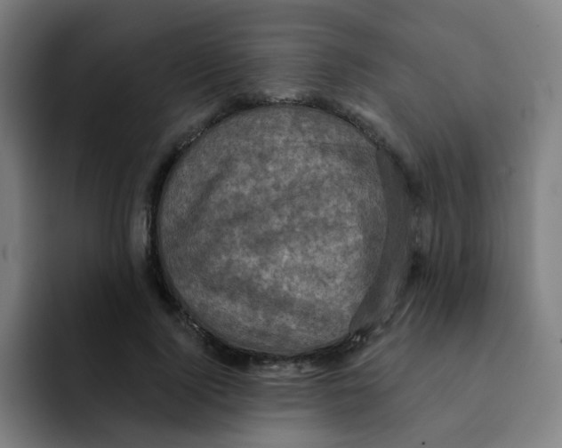 X0000091910740200709261715