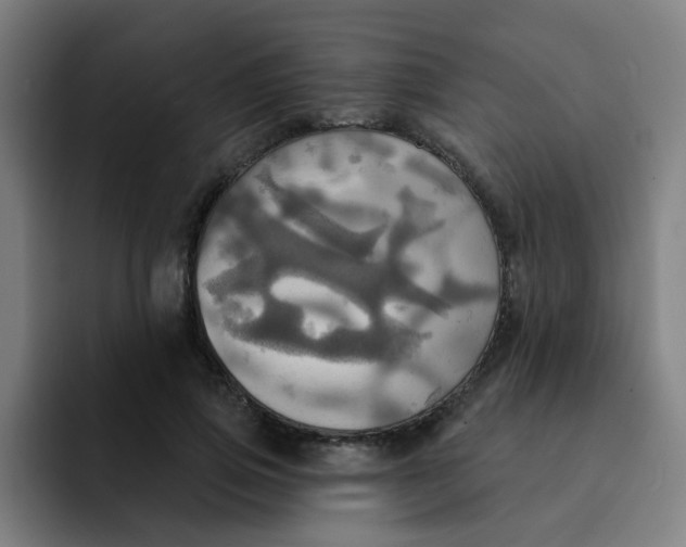 X0000091910741200709261715