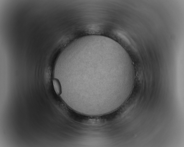 X0000091910744200709261715