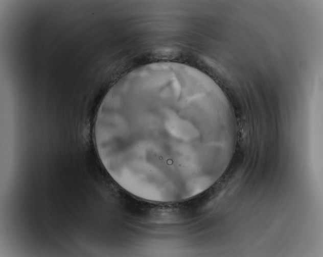 X0000091910745200709261715