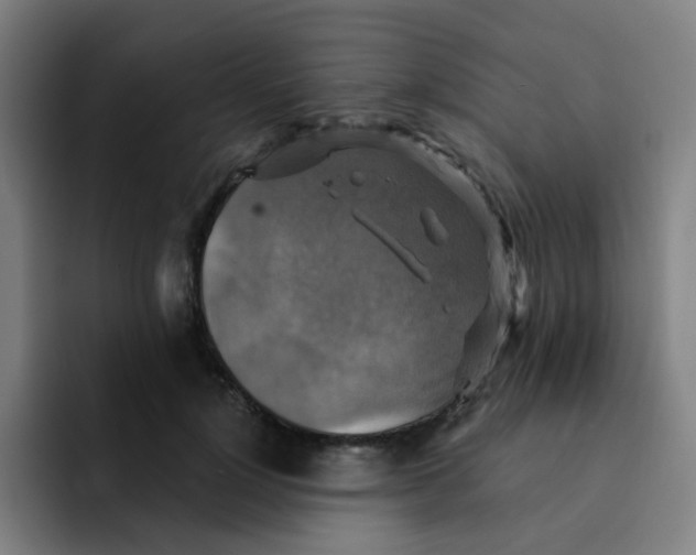 X0000091910748200709261715