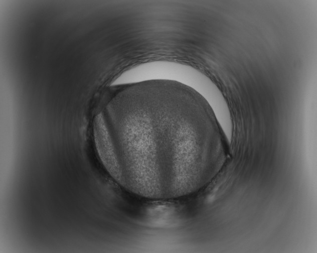 X0000091910750200709261715