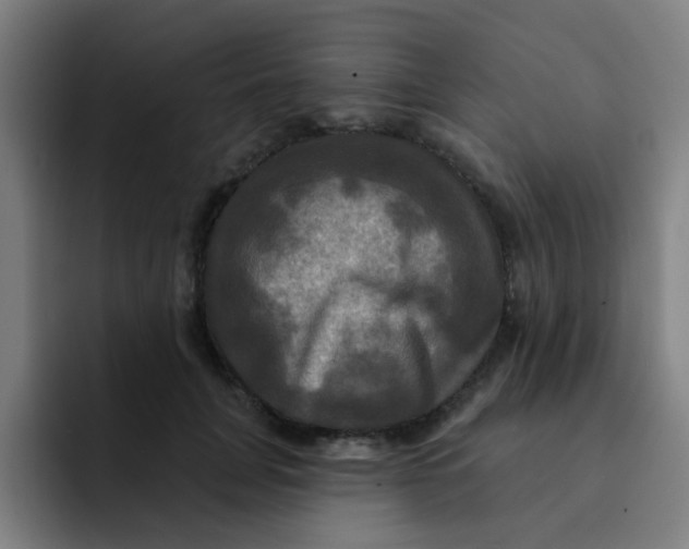 X0000091910751200709261715