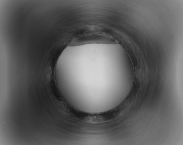 X0000091910752200709261715