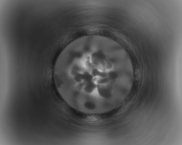 X0000091910753200709261715