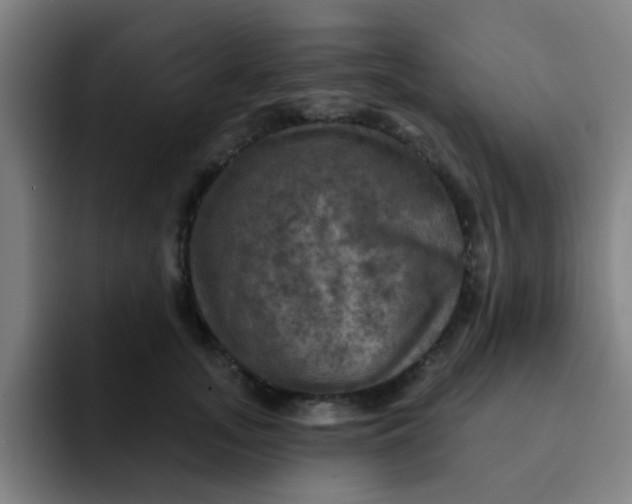 X0000091910755200709261715