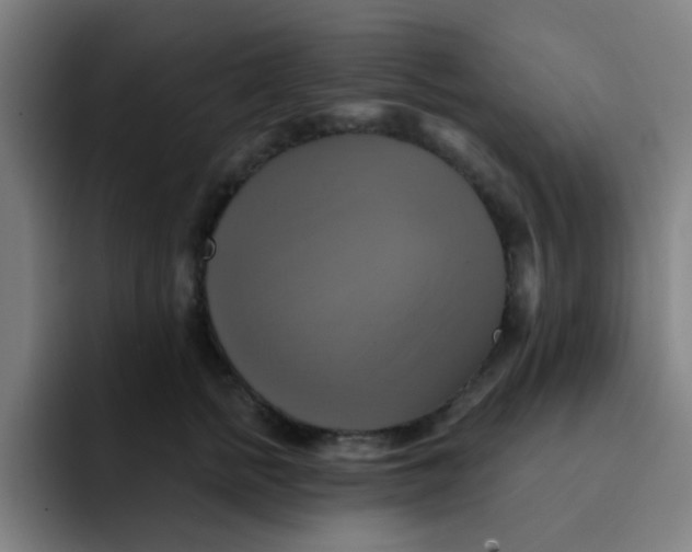 X0000091910758200709261715